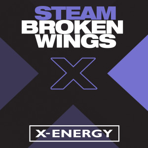 Steam的专辑Broken Wings