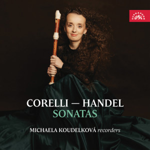 Listen to II. Allegro song with lyrics from Michaela Koudelková