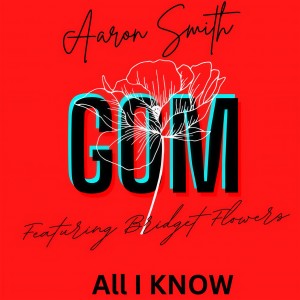 Listen to All I Know (Frank Delour Radio Remix) song with lyrics from Aaron Smith