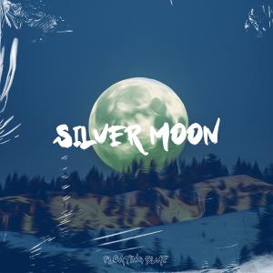 Blue Cat Guy的专辑Silver Moon