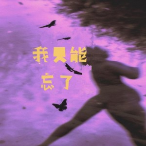 收听wweimm微米的我只能忘了 (完整版)歌词歌曲