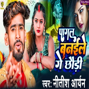 收听Nitish Aryan的Pagal Banaile Ge Chhaudi歌词歌曲