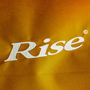 RISE (Darius Remix) dari Darius