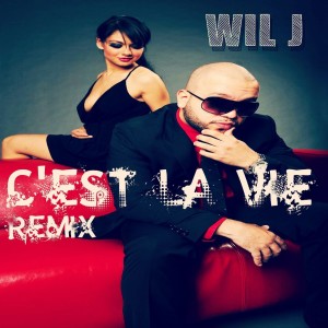 ดาวน์โหลดและฟังเพลง C'est La Vie (Remix) พร้อมเนื้อเพลงจาก WilJ