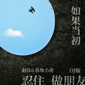 收听赵洋的如果当初忍住做朋友 (DJ version)歌词歌曲