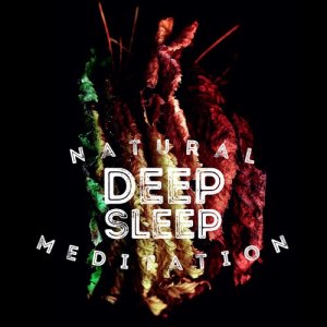 อัลบัม Natural Deep Sleep Meditation ศิลปิน Deep Sleep Meditation