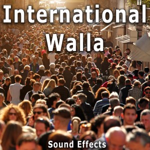 收聽Sound Ideas的Romania: Outdoor Square Ambience with Medium Sized Crowd歌詞歌曲