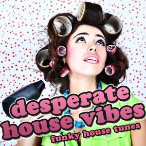 收听Josh The Funky 1的So You (Remix)歌词歌曲