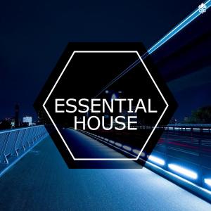 Various Artists的專輯Essential House