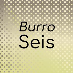 Listen to Verano Piu song with lyrics from Alin Kson