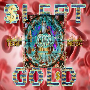 Listen to HIT M€ UP IF ¥OUR LOOKING FOR MOR€  SL€PT GOLD (Explicit) song with lyrics from Abso Mesc