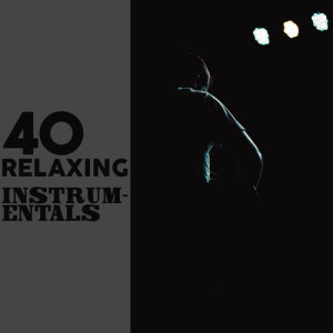 Relaxing Jazz Instrumentals的專輯40 Relaxing Instrumentals