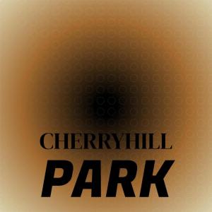 ดาวน์โหลดและฟังเพลง Don't Say Goodnight And Mean Goodbye พร้อมเนื้อเพลงจาก Shirelles