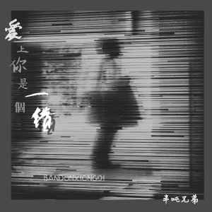 Album 爱上你是一个错 (DJ墨韩Mix版) from 半吨兄弟