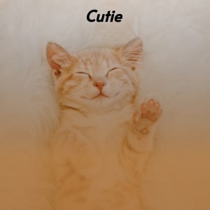 Listen to Cutie song with lyrics from Sonny Rollins