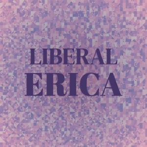 Various的专辑Liberal Erica
