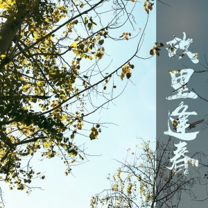 Listen to 故里逢春 (完整版伴奏) (伴奏) song with lyrics from 1908公社