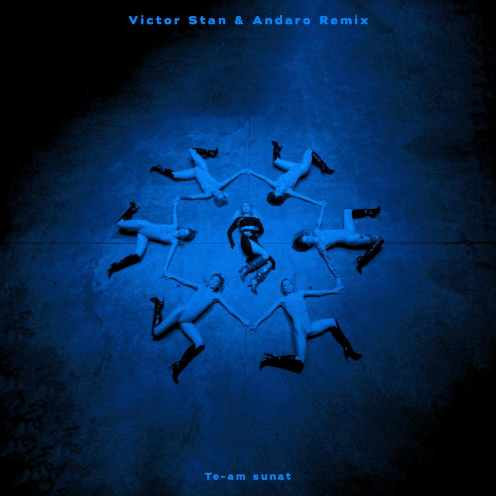 Te-am sunat (Victor Stan & Andaro Remix)