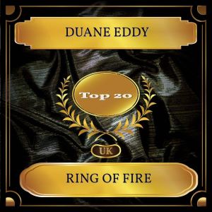 ดาวน์โหลดและฟังเพลง Ring Of Fire (Rerecorded) พร้อมเนื้อเพลงจาก Duane Eddy