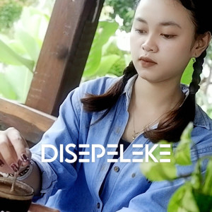 Eika Safitri的专辑diSepeleke