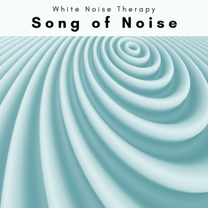 อัลบัม 1 Song of Noise ศิลปิน White Noise Therapy