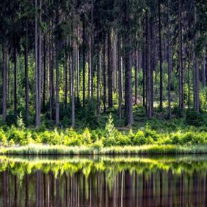 Dengarkan lagu Let it Out nyanyian Relaxing Music dengan lirik