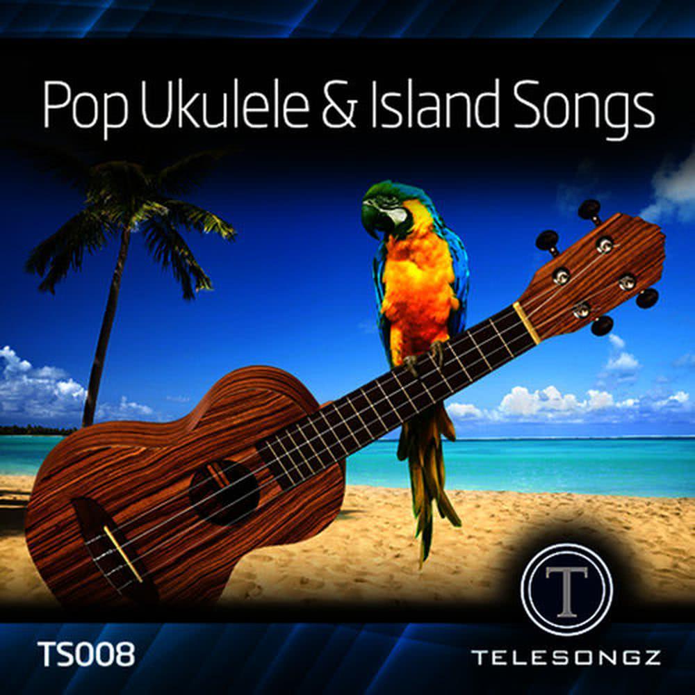 Karaoke King of the Caribbean(Instrumental) (纯音乐)