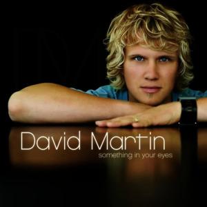 收聽David Martin的Something In Your Eyes歌詞歌曲