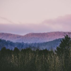 Listen to Charming Lullabys song with lyrics from Deep Sleep