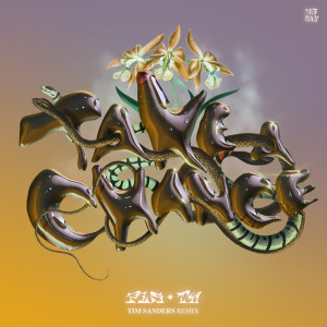 อัลบัม Take A Chance (Tim Sanders Remix) ศิลปิน PLS&TY