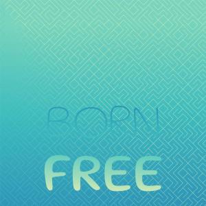 Listen to Come On Home Boy song with lyrics from Harlan Howard