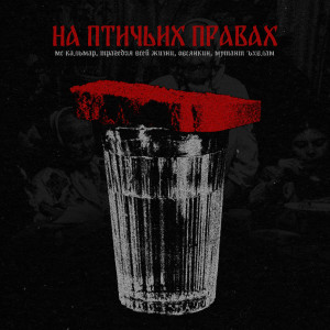 Album На птичьих правах from MC Кальмар