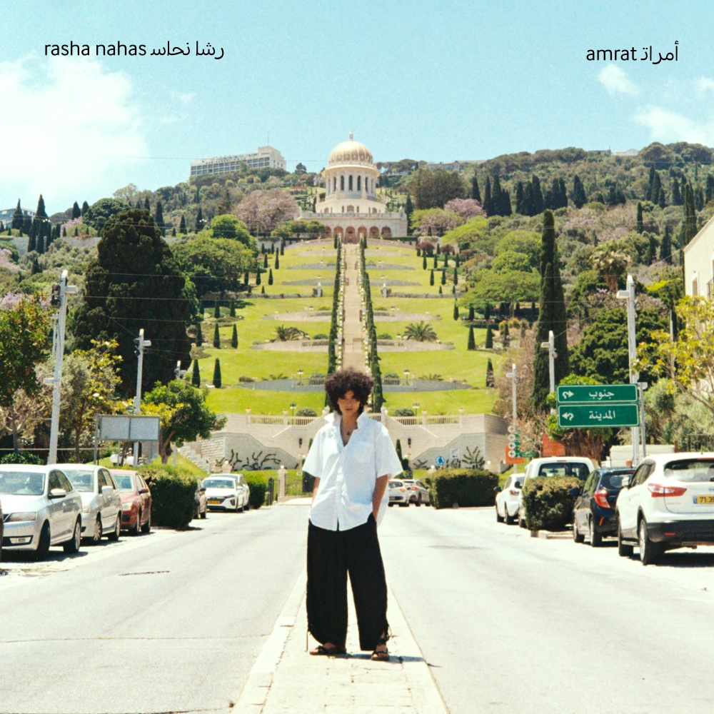 Toyour طيور