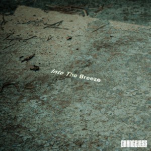 Listen to Into The Breeze (Instrumental) song with lyrics from Changeless