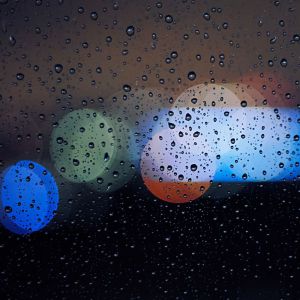 收聽Sleep Sounds of Nature的Rain in the Forest歌詞歌曲