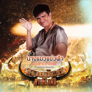 ดาวน์โหลดและฟังเพลง นางแมวแอ่วฟ้า (เพลงประกอบละคร นายฮ้อยทมิฬ) พร้อมเนื้อเพลงจาก ปอยฝ้าย มาลัยพร