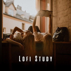 Lofi Study: Mindful Academic Progress