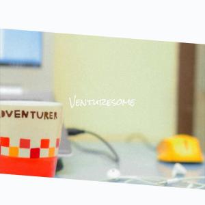 Album Venturesome from Various