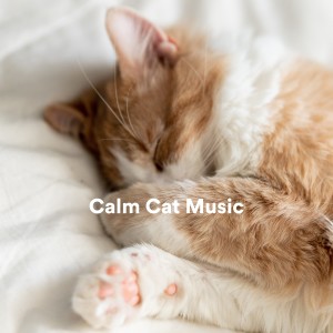 ดาวน์โหลดและฟังเพลง Vishwa พร้อมเนื้อเพลงจาก RelaxMyCat
