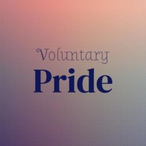 Various的专辑Voluntary Pride