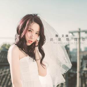 Listen to 还是想找你 song with lyrics from 鞠文娴