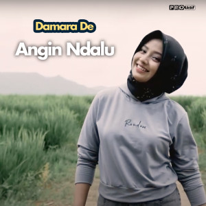 收聽Damara De的Angin Dalu歌詞歌曲