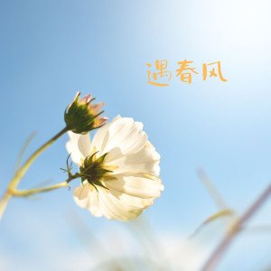 Listen to 遇春风 (完整版) song with lyrics from 唐媛
