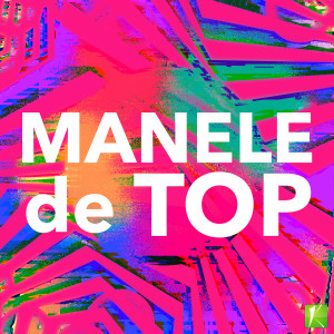 Listen to Tu Esti Tot song with lyrics from Mr. Juve