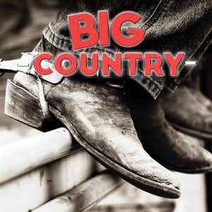 Countryhits的專輯Big Country