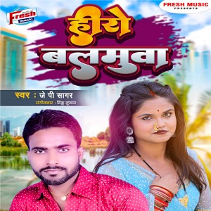 Listen to Hero Balamua song with lyrics from Jp Sagar