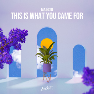 Album This Is What You Came For from Majesto