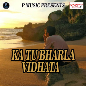 Listen to Gori Othalali Tohar Thoda Sa Da song with lyrics from Ravindar Kumar