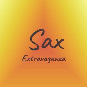 收听Haci Naan的Sax Extravaganza歌词歌曲