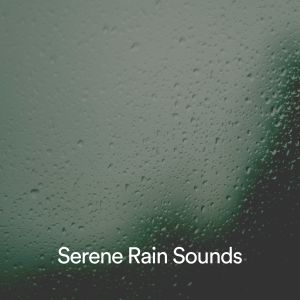 Album Serene Rain Sounds from 24H Rain Sounds